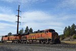 BNSF 7953